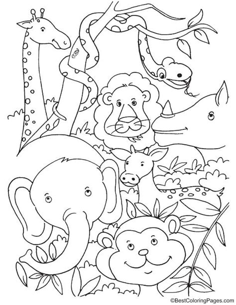 coloring pages of jungle animals|jungle animal pictures to colour.